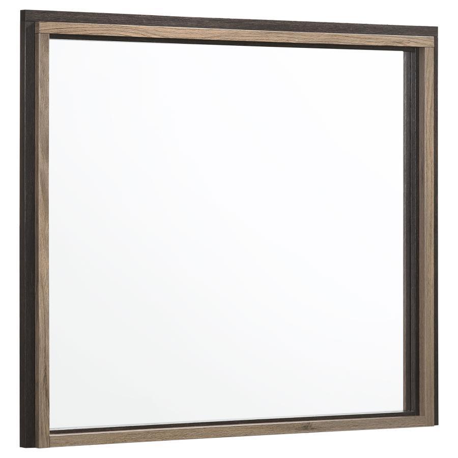 CoasterEveryday - Baker - Rectangular Dresser Mirror - Brown And Light Taupe - 5th Avenue Furniture