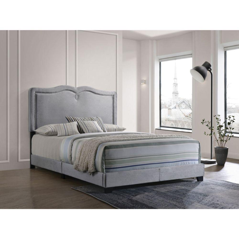 ACME - Reuben - Queen Bed - Gray Velvet - 5th Avenue Furniture