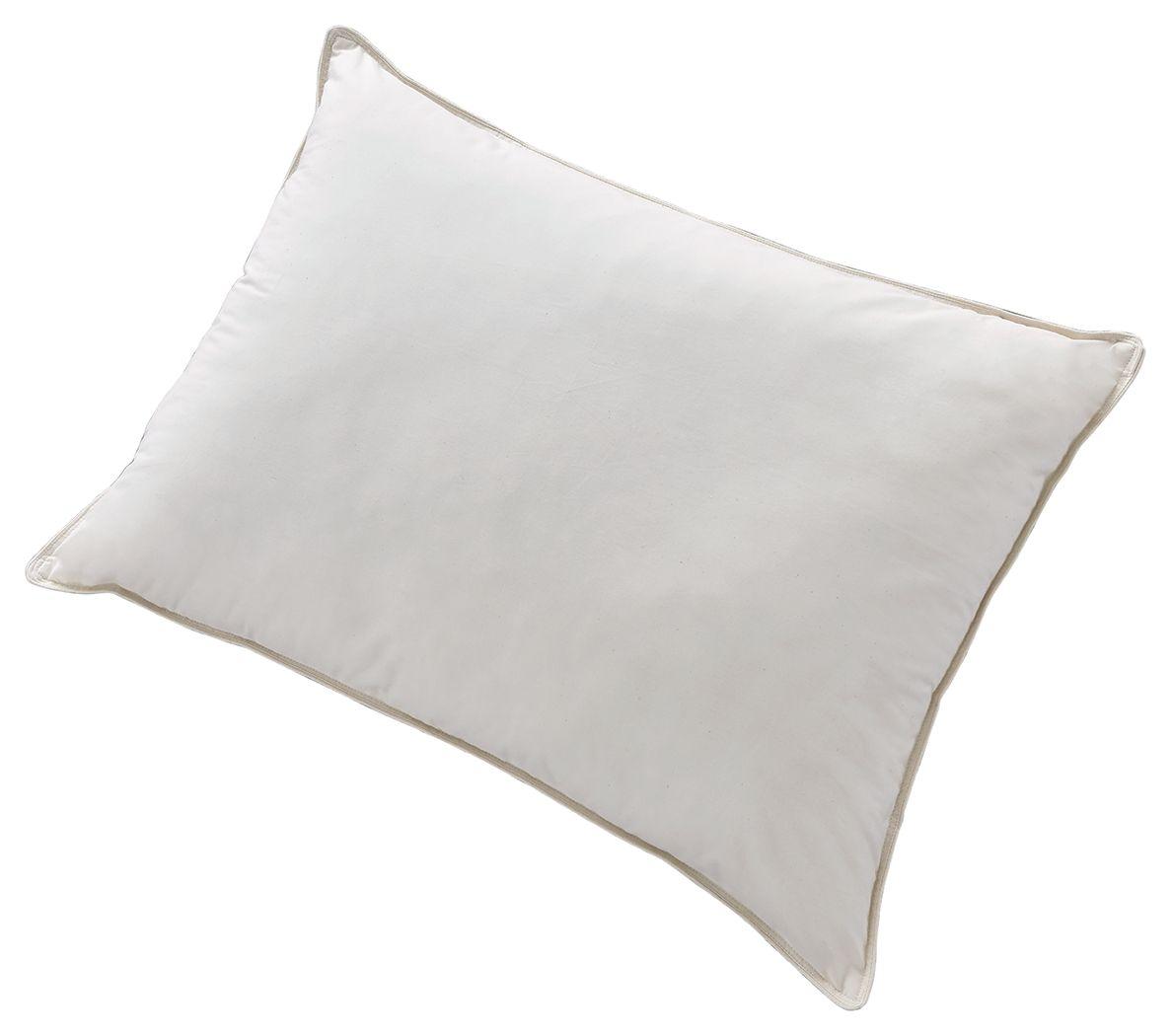 Ashley Furniture - Z123 Pillow Series - Cotton Allergy Pillow - 5th Avenue Furniture
