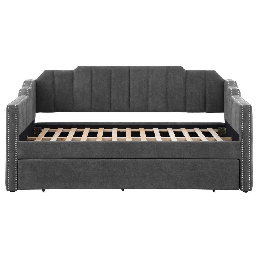 CoasterEssence - Kingston - Upholstered Twin Daybed With Trundle - Charcoal - 5th Avenue Furniture