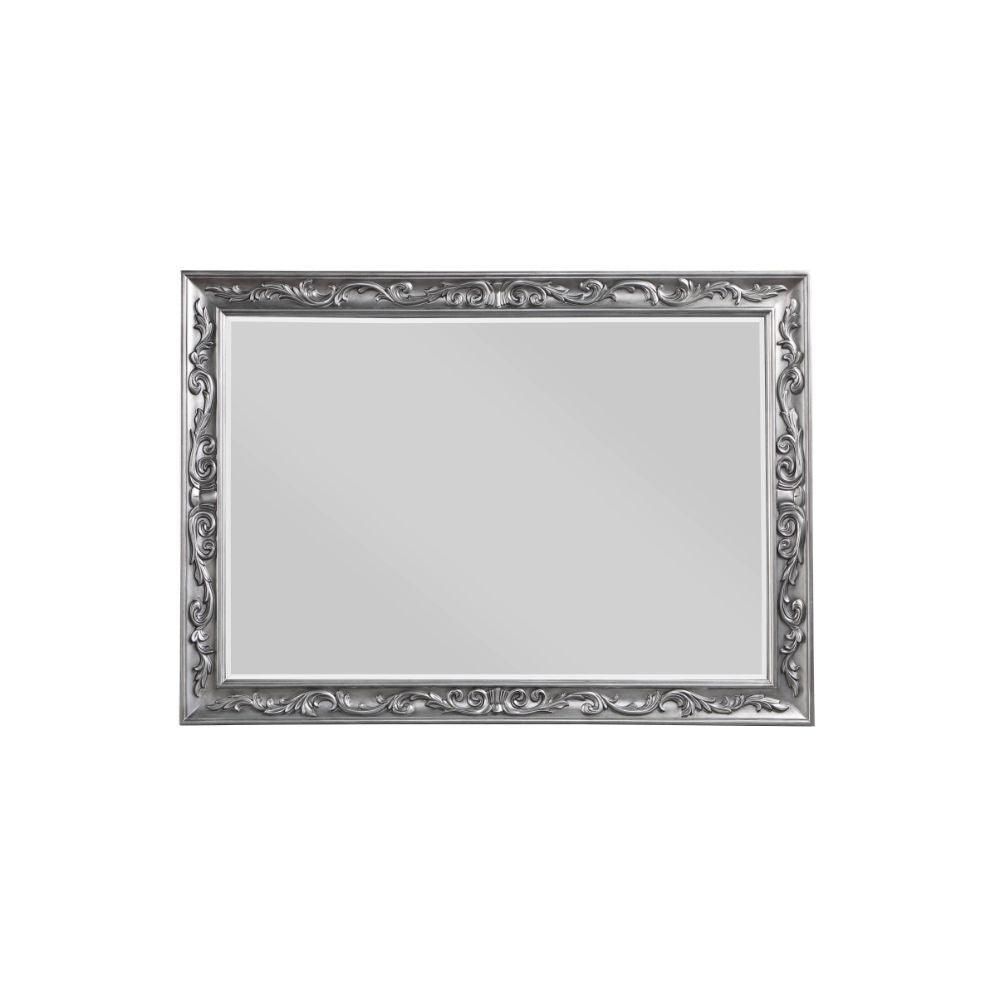 ACME - Leonora - Mirror - Vintage Platinum - 5th Avenue Furniture
