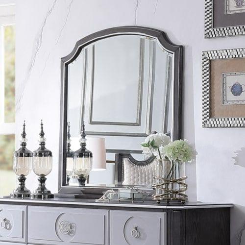 ACME - House - Beatrice Mirror - Charcoal Finish - 5th Avenue Furniture