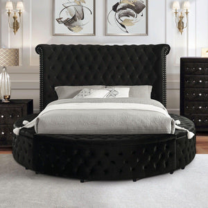 Furniture of America - Delilah - Queen Bed - Black - 5th Avenue Furniture