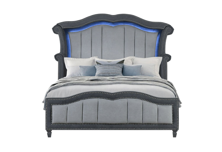 Vanna - Bed - Gray