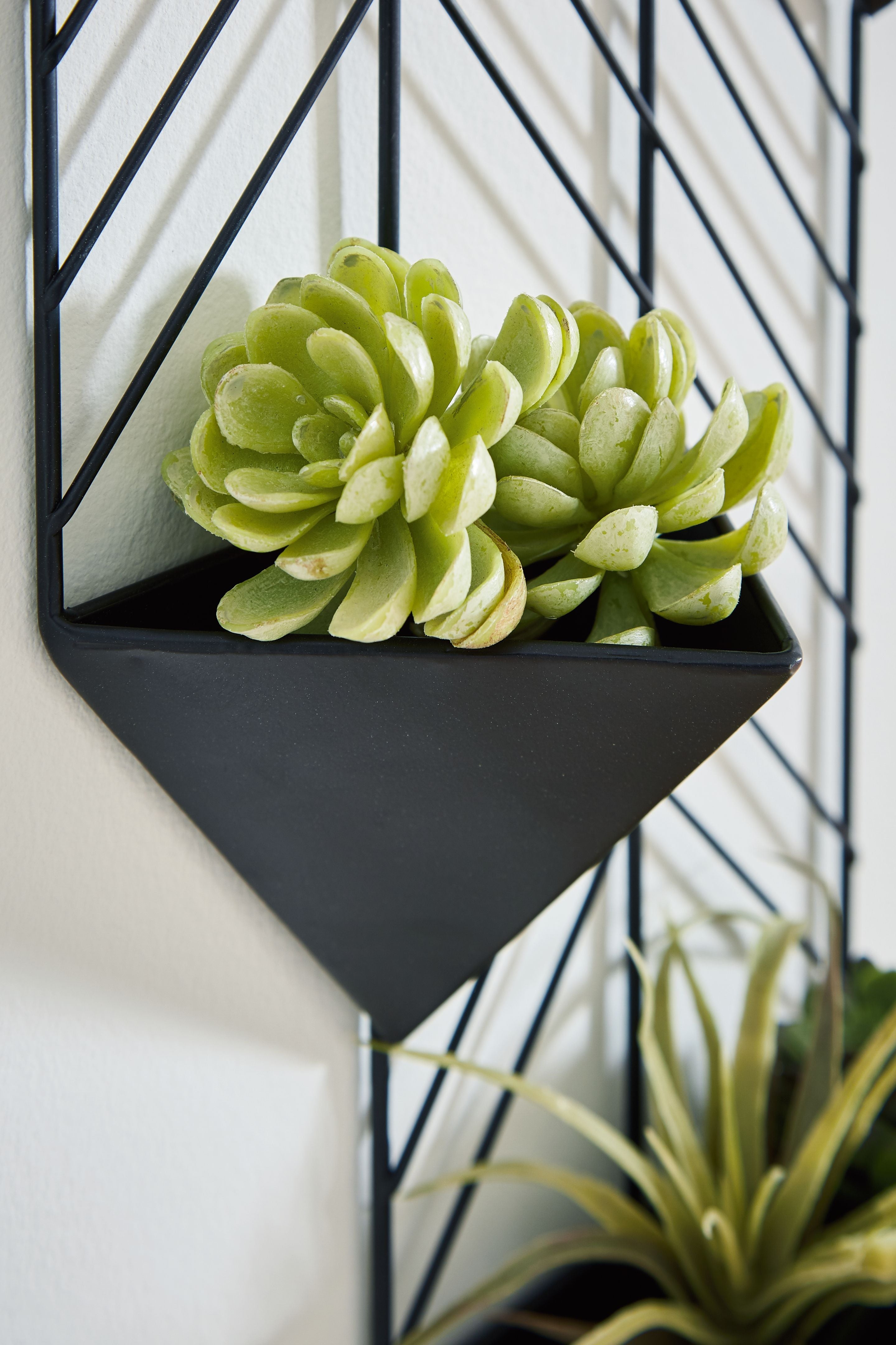 black wall plant hanger Ashley A8010367 Dashney - Black
