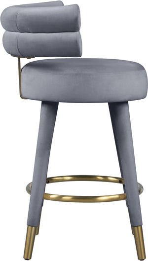 Meridian Furniture - Fitzroy - Counter Stool (Set of 2) - 5th Avenue Furniture