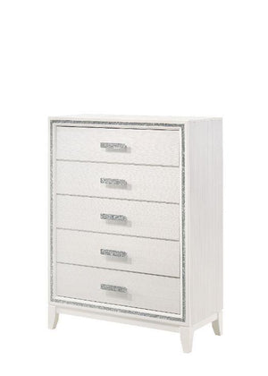 ACME - Haiden - Chest - 5th Avenue Furniture