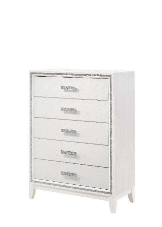 ACME - Haiden - Chest - 5th Avenue Furniture