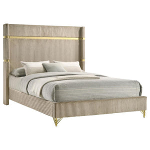 Coaster Fine Furniture - Lucia - Upholstered Wingback Panel Bed - 5th Avenue Furniture