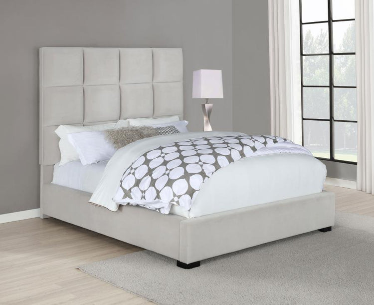 CoasterEssence - Panes - Tufted Upholstered Panel Bed - 5th Avenue Furniture