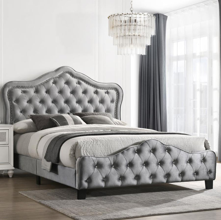 CoasterEssence - Bella - Upholstered Bed - 5th Avenue Furniture