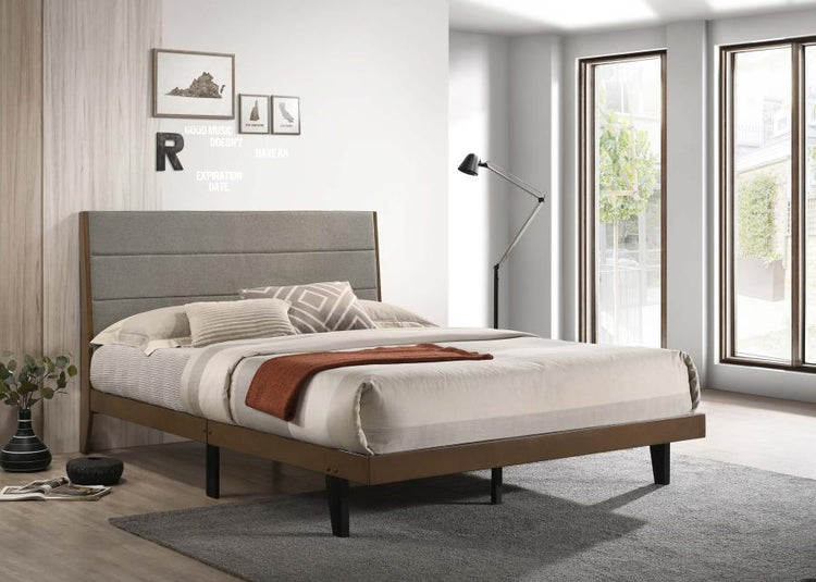 CoasterEveryday - Mays - Bed - 5th Avenue Furniture
