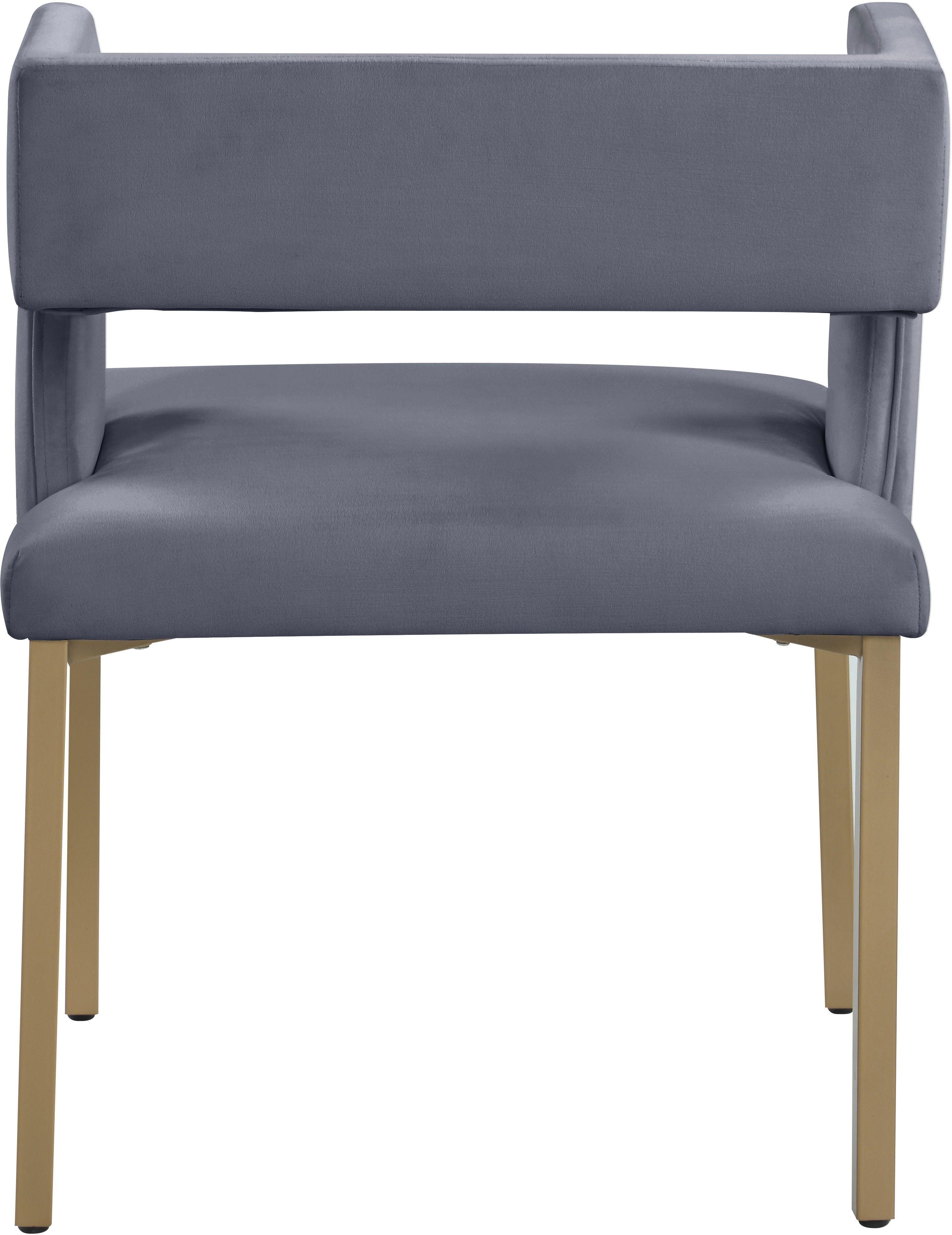 Meridian Furniture - Caleb - Dining Chair with Gold Legs (Set of 2) - 5th Avenue Furniture