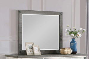 Coaster Fine Furniture - Lilith - Rectangular Dresser Mirror - Distressed Gray - 5th Avenue Furniture