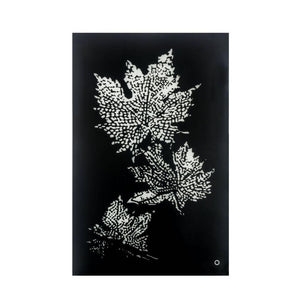 ACME - Hadrias - Wall Art - Smoky Glass & Faux Crystal - 5th Avenue Furniture