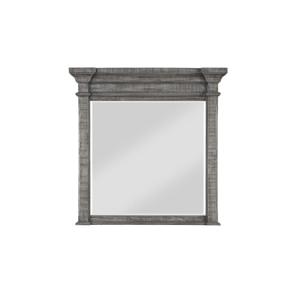 ACME - Artesia - Mirror - Salvaged Natural - 5th Avenue Furniture