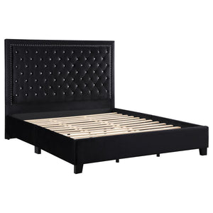 CoasterEssence - Hailey - Panel Bed - 5th Avenue Furniture