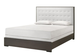 Crown Mark - Sharpe - Bed - 5th Avenue Furniture