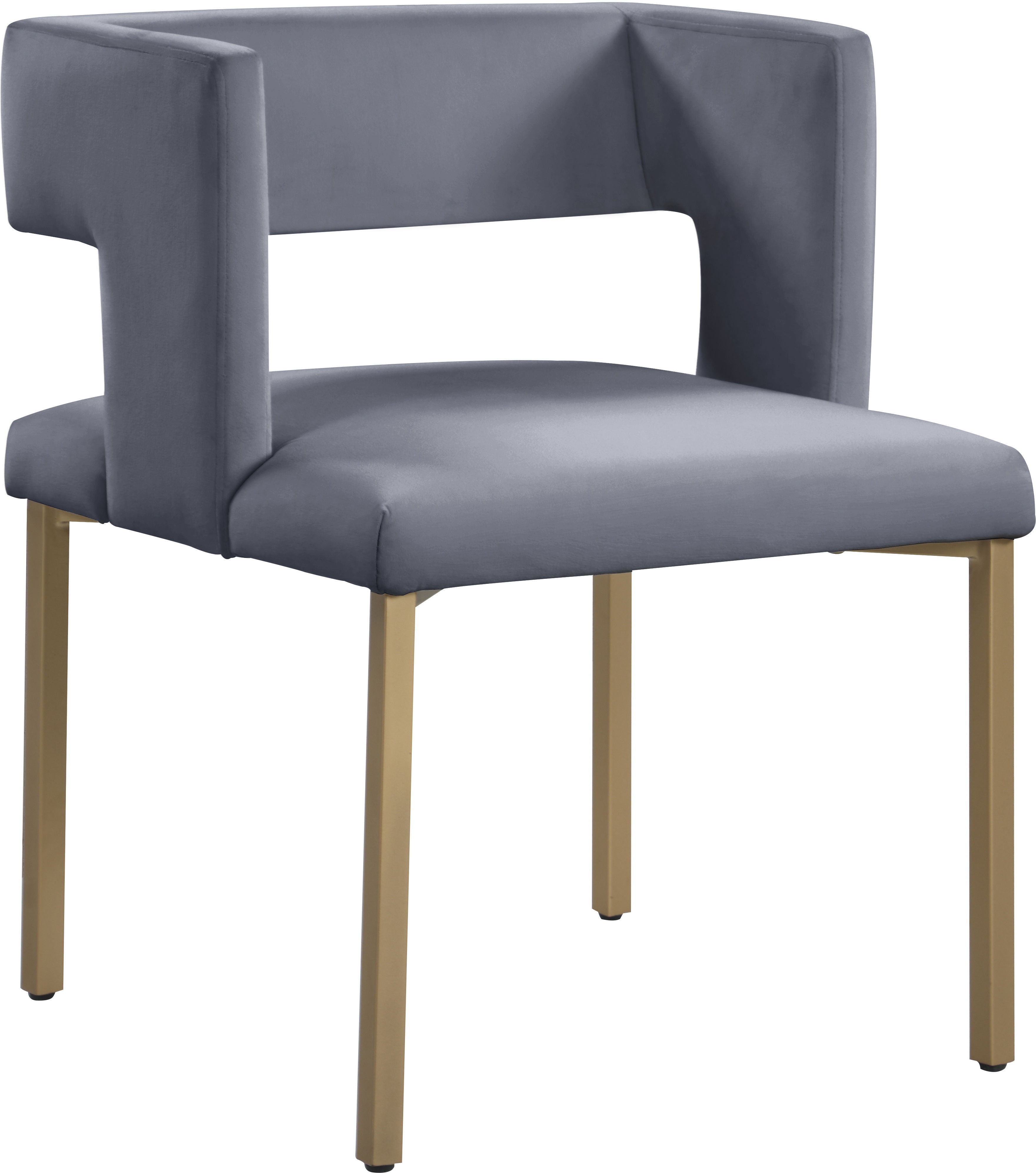 Caleb - Dining Chair with Gold Legs (Set of 2) - 5th Avenue Furniture