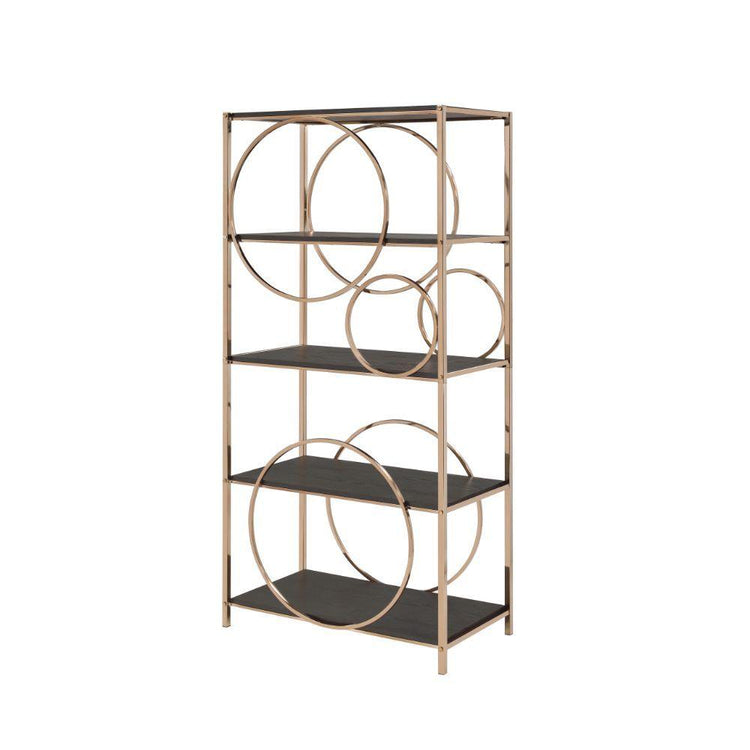 ACME - Hudice - Bookshelf - Black Oak & Champagne - 5th Avenue Furniture