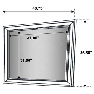 CoasterEveryday - Barzini - Rectangular Mirror - 5th Avenue Furniture