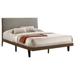 CoasterEveryday - Mays - Bed - 5th Avenue Furniture