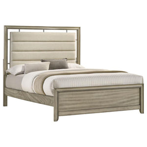 Coaster Fine Furniture - Giselle - Panel Bed With Upholstered Headboard - 5th Avenue Furniture