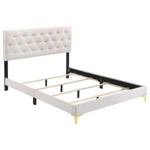 CoasterEveryday - Kendall - Bed - 5th Avenue Furniture