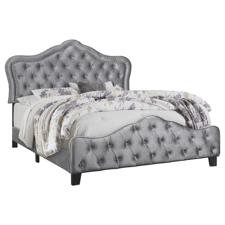 CoasterEssence - Bella - Upholstered Bed - 5th Avenue Furniture