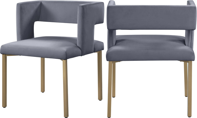 Meridian Furniture - Caleb - Dining Chair with Gold Legs (Set of 2) - 5th Avenue Furniture