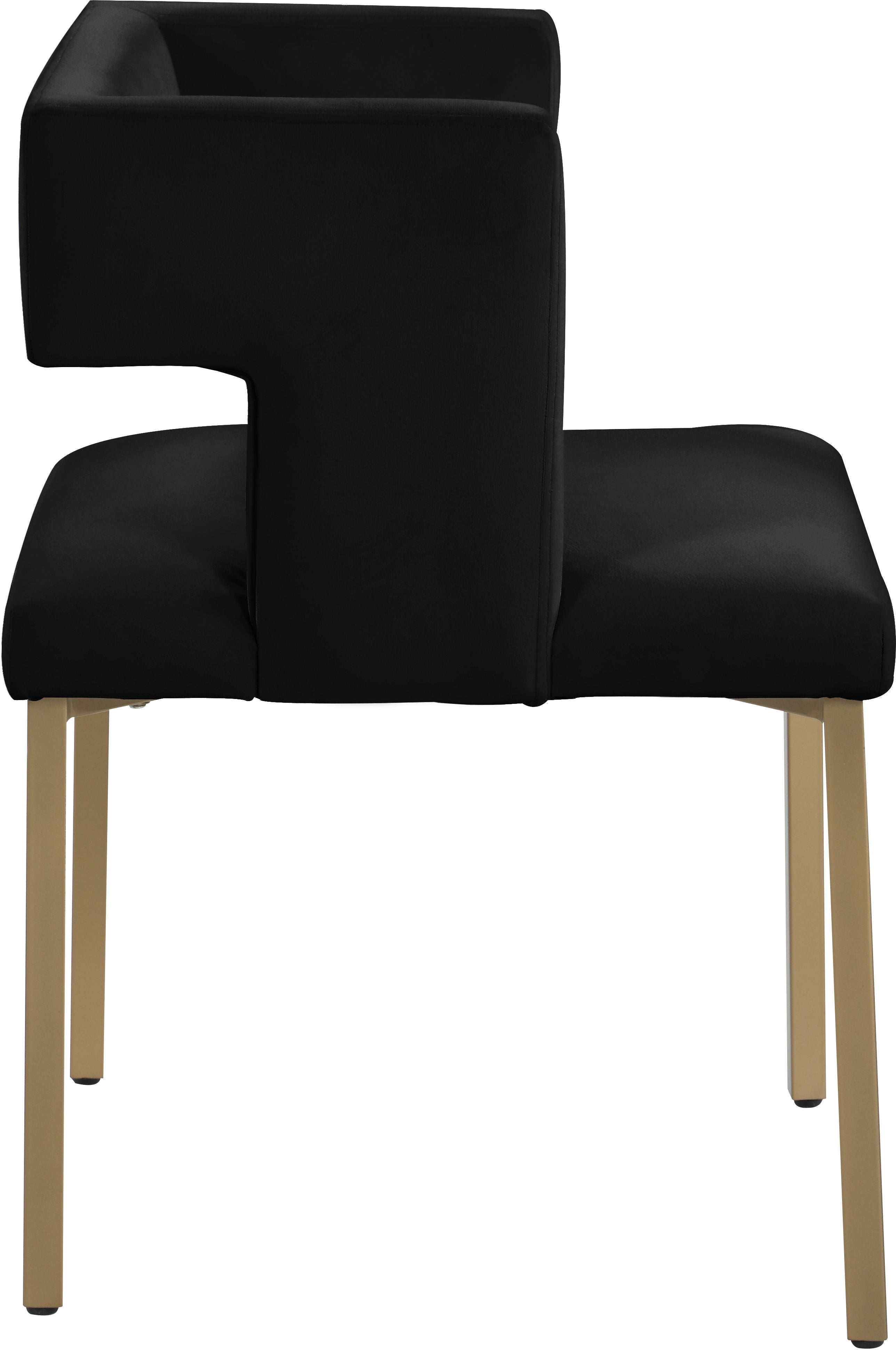 Caleb - Dining Chair with Gold Legs (Set of 2) - 5th Avenue Furniture