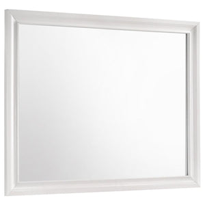 CoasterEveryday - Miranda - Rectangular Mirror - 5th Avenue Furniture