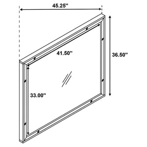 Coaster Fine Furniture - Larue - Rectangular Dresser Mirror - Silver - 5th Avenue Furniture