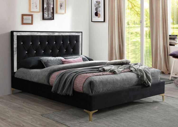 ACME - Rowan - Upholstered Bed - 5th Avenue Furniture
