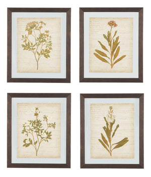 Ashley Furniture - Dyani - Brown - Wall Art Set (Set of 4) - 5th Avenue Furniture