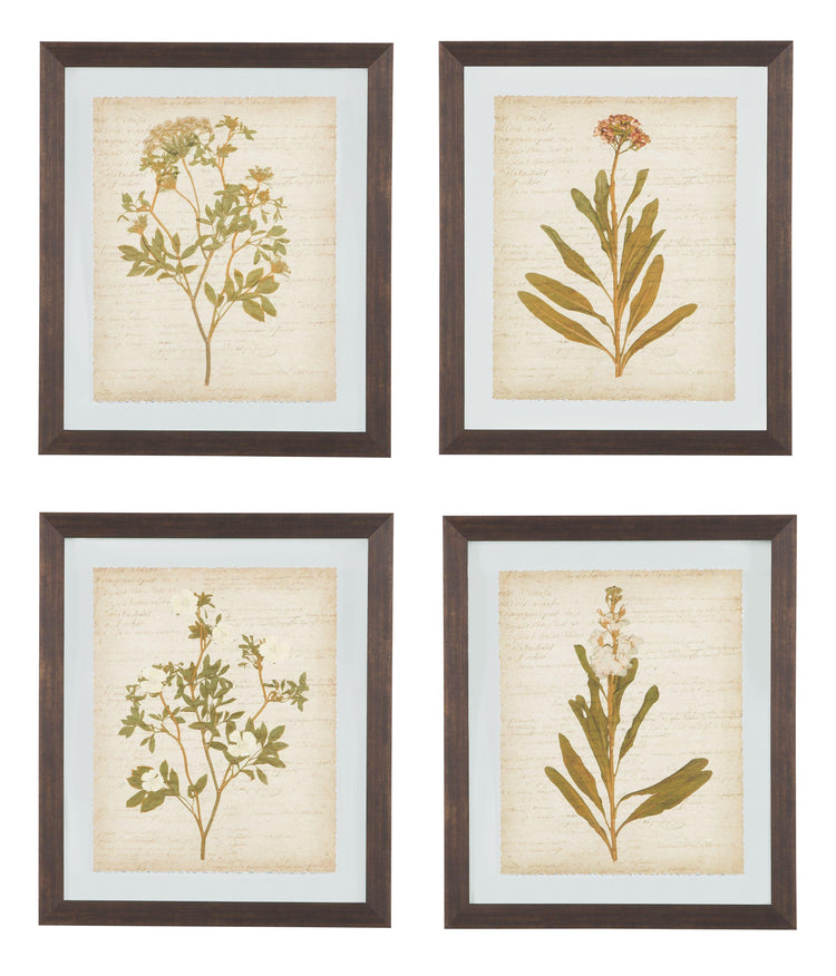 Ashley Furniture - Dyani - Brown - Wall Art Set (Set of 4) - 5th Avenue Furniture