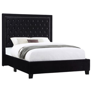 CoasterEssence - Hailey - Panel Bed - 5th Avenue Furniture