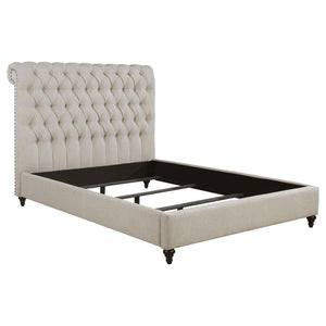 CoasterEssence - Devon - Button Tufted Upholstered Bed - 5th Avenue Furniture